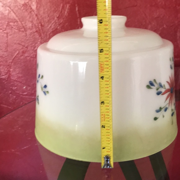 Vtg Hand Painted Parakeets Frosted Glass Ceiling Light Globe - Picture 4 of 9